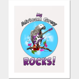 Afreican Grey Congo Parrot rocks Posters and Art